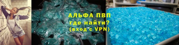 гашик Осташков