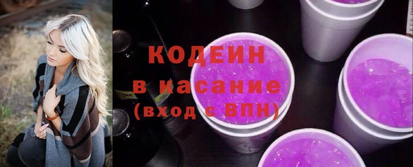 гашик Осташков