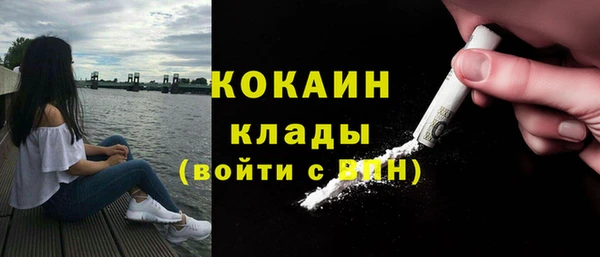 ПСИЛОЦИБИНОВЫЕ ГРИБЫ Осинники