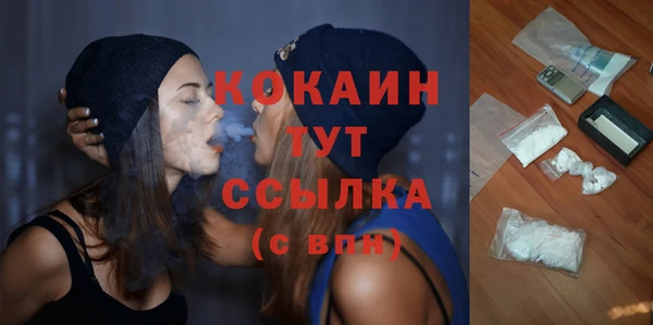 гашик Осташков