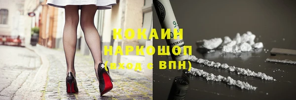 гашик Осташков