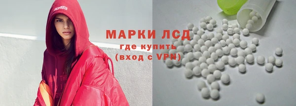 гашик Осташков