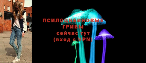 шишки Остров