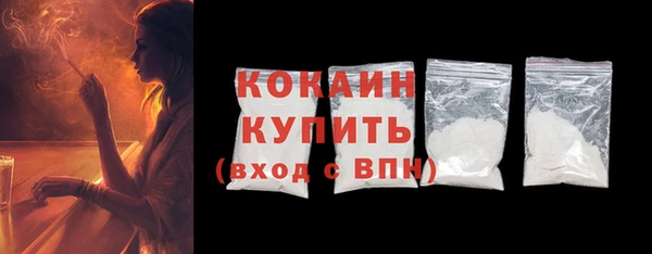 ПСИЛОЦИБИНОВЫЕ ГРИБЫ Осинники