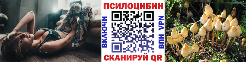 Псилоцибиновые грибы мухоморы  мега   Улан-Удэ 