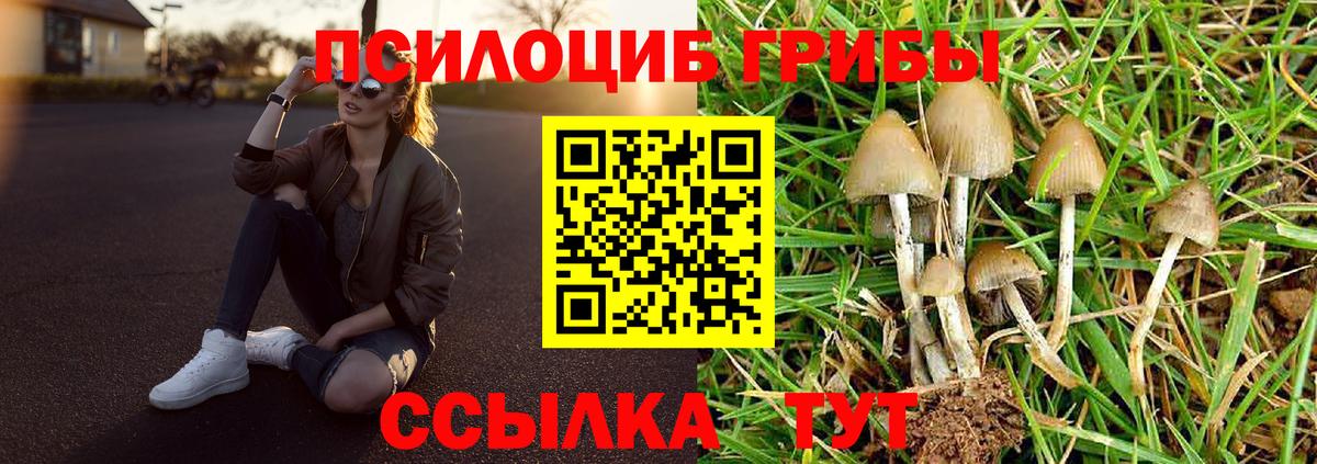 Псилоцибиновые грибы GOLDEN TEACHER  Вход с VPN  Улан-Удэ  Галлюциногенные грибы прущие грибы 