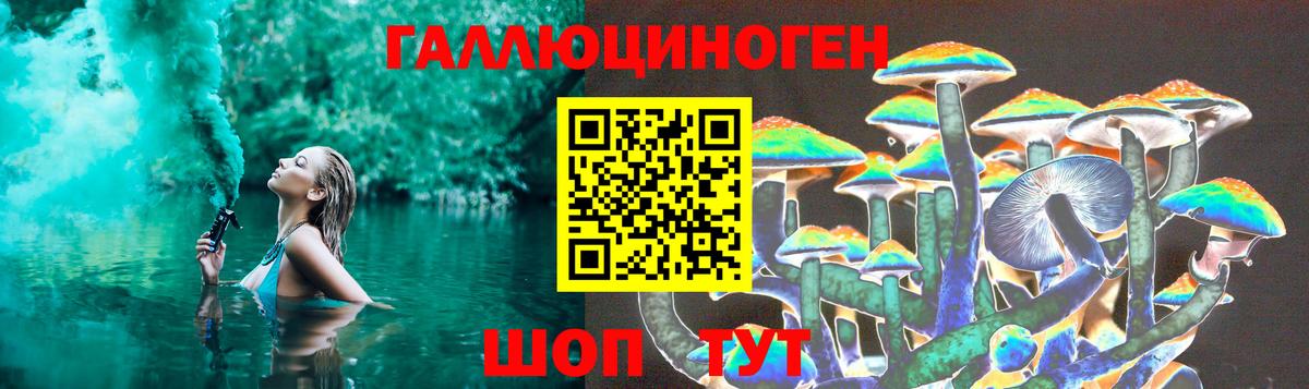 Галлюциногенные грибы Psilocybe Улан-Удэ