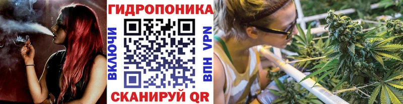 Бошки марихуана Amnesia  Улан-Удэ 